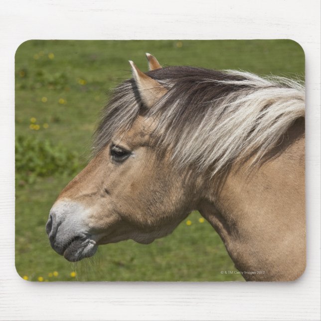 Norsk Fjord Horse Musmatta (Framsidan)