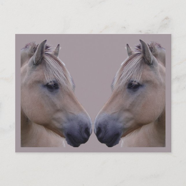 Norsk Fjord Vykort (Framsida)