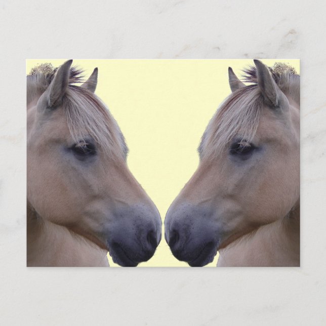 Norsk Fjord Vykort (Framsida)