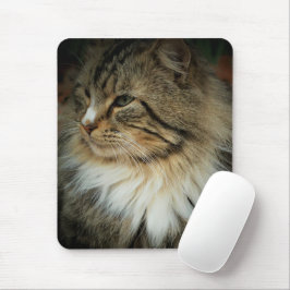 Norsk Forest Cat Mousepad Musmatta