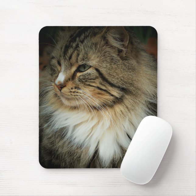 Norsk Forest Cat Mousepad Musmatta (Med mus)