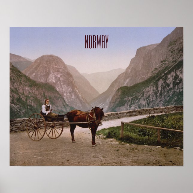 Norsk kvinna i en hästdragen transport poster (Framsidan)