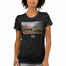 Norsk kvinna i en hästdragen transport