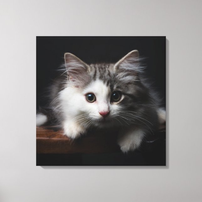 Norsk skog Kitten Canvastryck (Framsida)