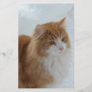 Norsk_Skogkatt Brevpapper