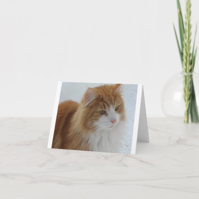 Norsk_Skogkatt Helgkort (Framsida)