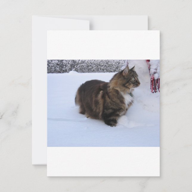 norsk skogkatt i snö julkort (Framsida)