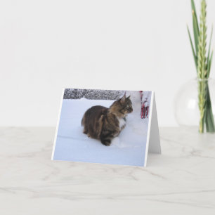 norsk skogkatt i snö tack kort