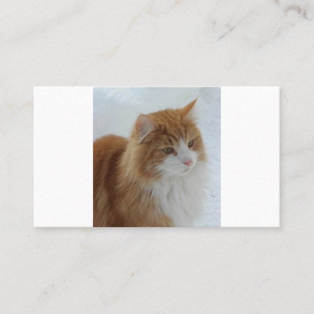 Norsk_Skogkatt Lojalitetskort (Framsida)