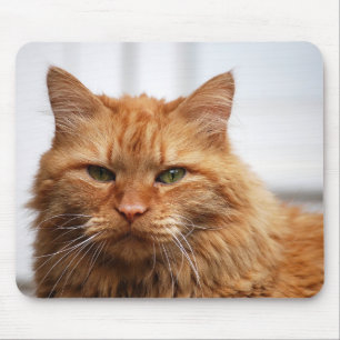 Norsk skogkatt Mousepad Musmatta