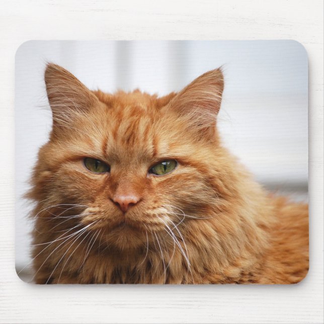 Norsk skogkatt Mousepad Musmatta (Framsidan)