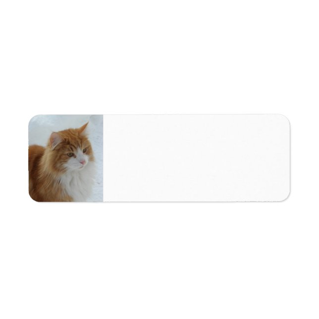 Norsk_Skogkatt Returadress Etikett (Framsidan)