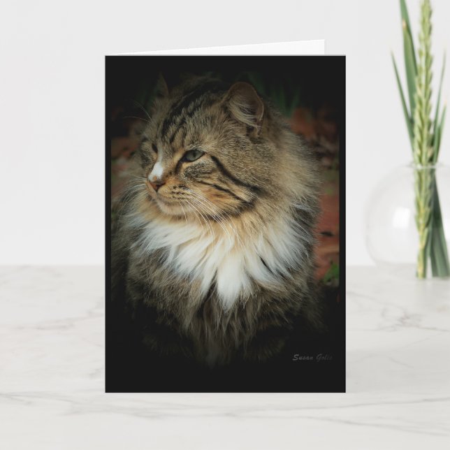 Norsk Skogkatt Saknar Dig Kort (Framsida)