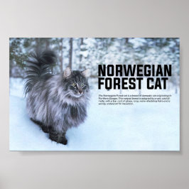 Norsk skogskaktsras poster