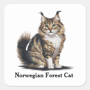 Norsk skogskassa fyrkantigt klistermärke