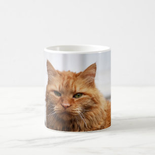 Norsk skogskassa Mugg