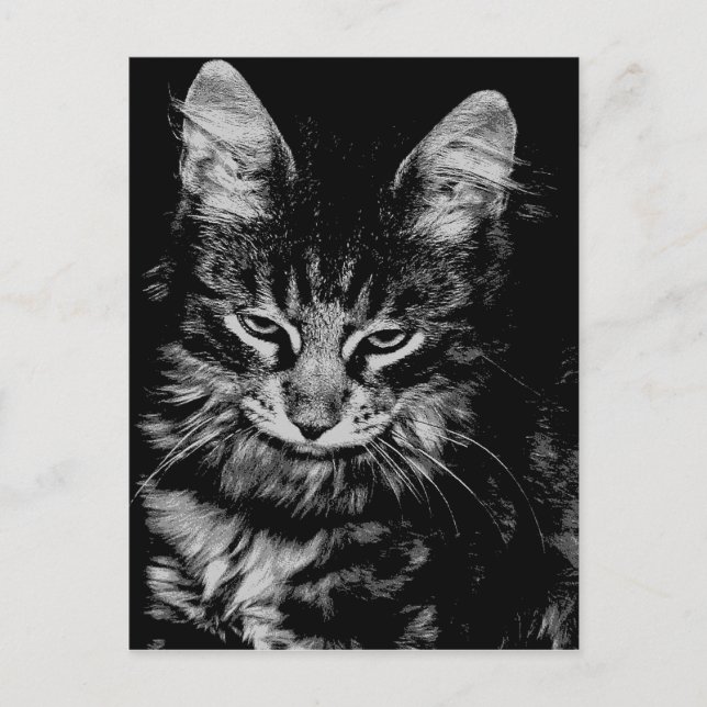 Norsk skogskatt vykort (Framsida)