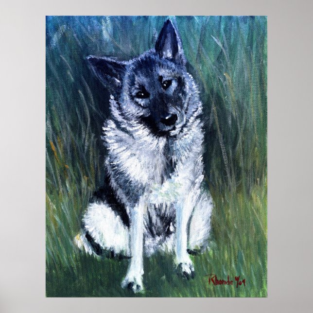 Norska Elkhound Hund Porträtt Poster (Framsidan)