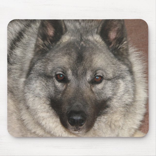 Norska Elkhound Musmatta (Framsidan)
