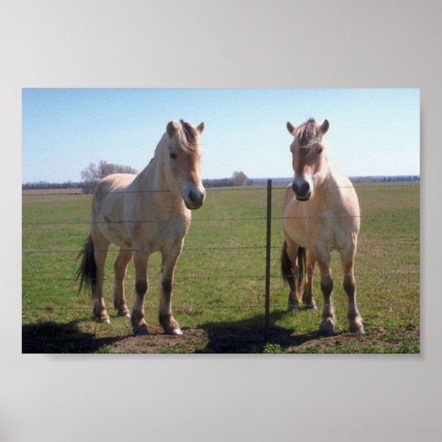 Norska Fjords Poster (Framsidan)