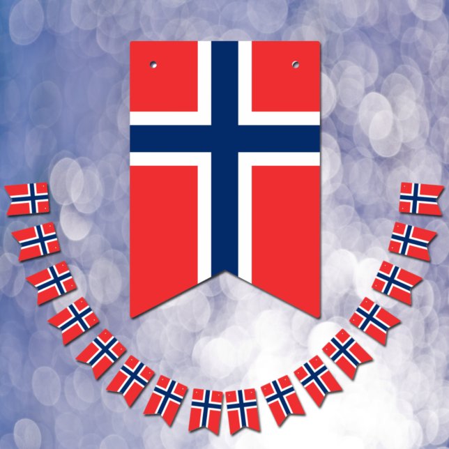 Norska flagg & fest Norge banners / bröllop Vimplar (Skapare uppladdad)