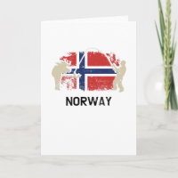 Norska flaggan Norge flagga