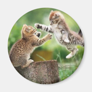 Norska skogkattungar magnet