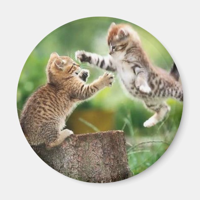 Norska skogskittens magnet (Framsidan)