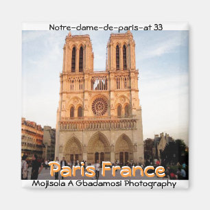 Norte-dame-de-Paris-på 33 (Mojisola en Gbadamosi) Magnet