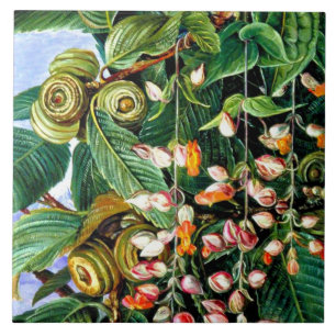North - A Darjeeling Oak, bra Art. Kakelplatta