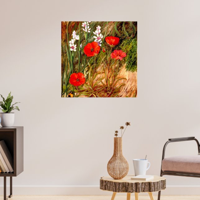 North - A South African Sundew Poster (Vardagsrum 3)