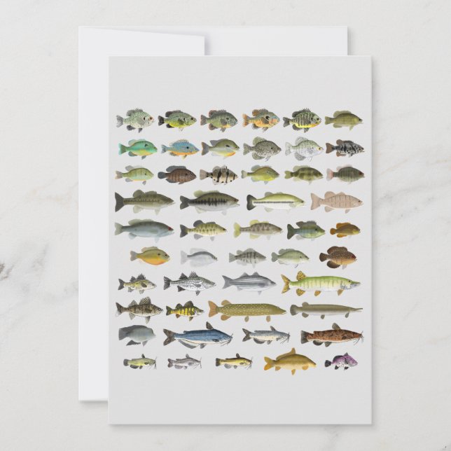 North America Freshwater Fish Group Kanvastryck (Framsida)