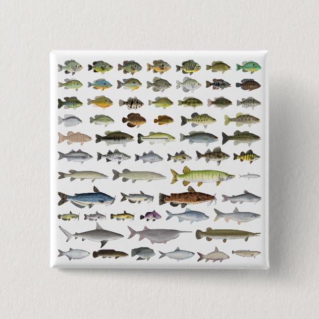 North America Freshwater Fish Group Knapp (Framsida)