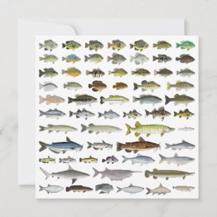 North America Freshwater Fish Group Kort
