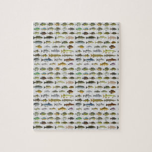 North America Freshwater Fish Group Pussel