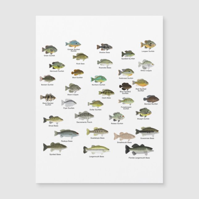 North America Sunfish Group (Framsida)