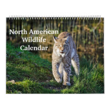 North American Wildlife