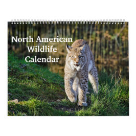 North American Wildlife Kalender