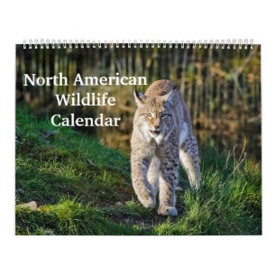 North American Wildlife Kalender