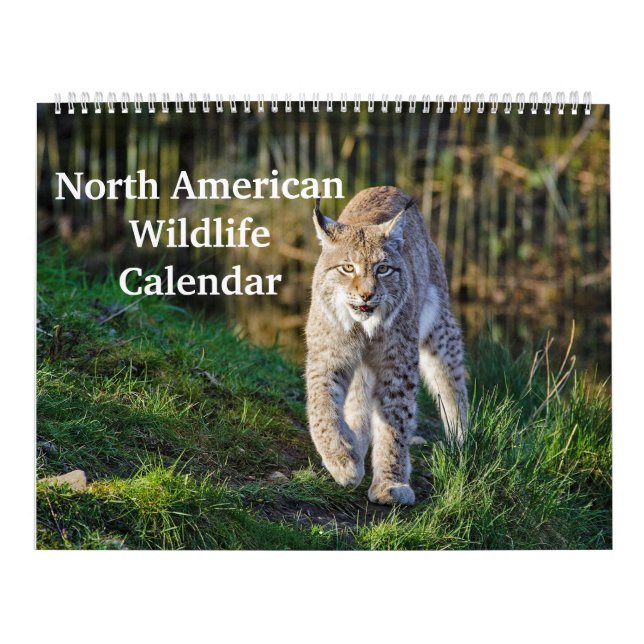 North American Wildlife Kalender (Omslag)