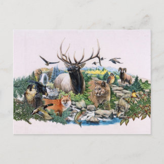 North American Wildlife Vykort