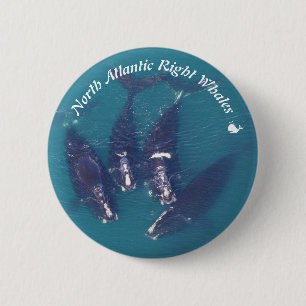 North Atlantic Höger Whales by RoseWrites Knapp
