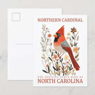 North Cardinal Bird of North Carolina USA Vykort
