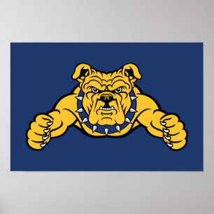 North Carolina A&T State Universiteten Bulldog Poster