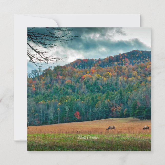 North Carolina-ängsskugga (märkt) Kort (Framsida)