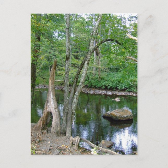 North Carolina Bäck vykort (Framsida)