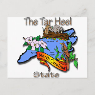 North Carolina Blue - Tjära Heel State BirdFlower Vykort