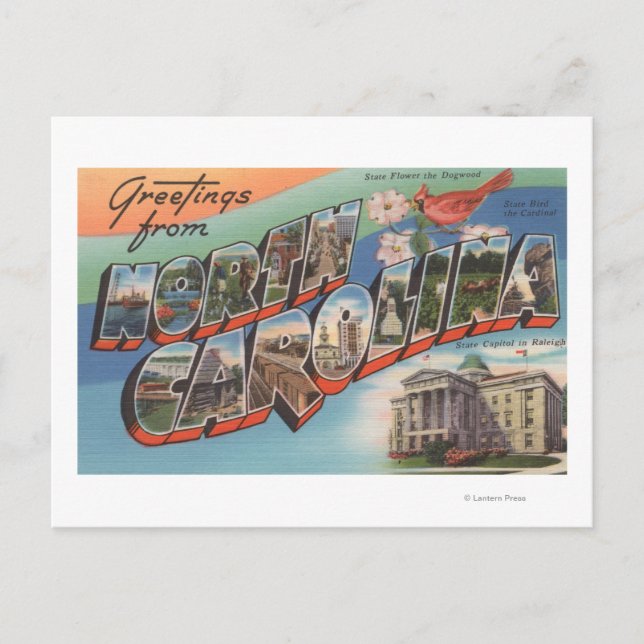 North Carolina (delstat Flower/Bird) Vykort (Framsida)