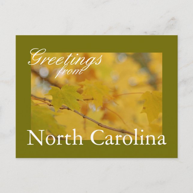 North Carolina Fall Postcard Vykort (Framsida)