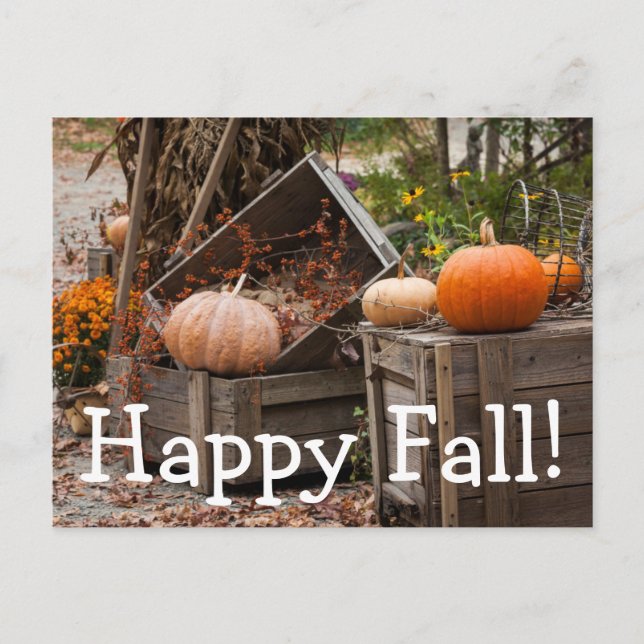 North Carolina, Linville, höstpumpor Vykort (Framsida)